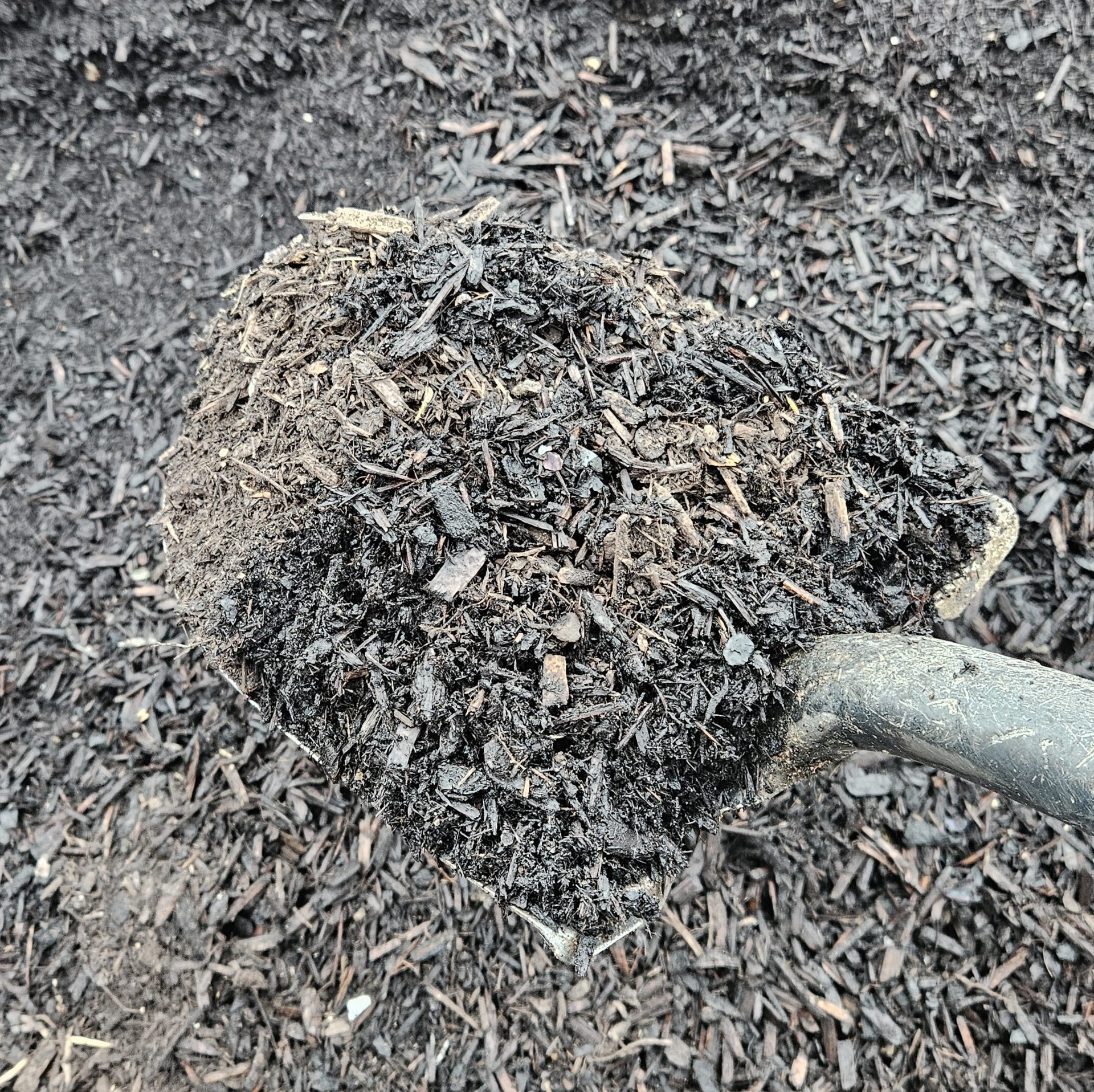 COMPOST COMPOST