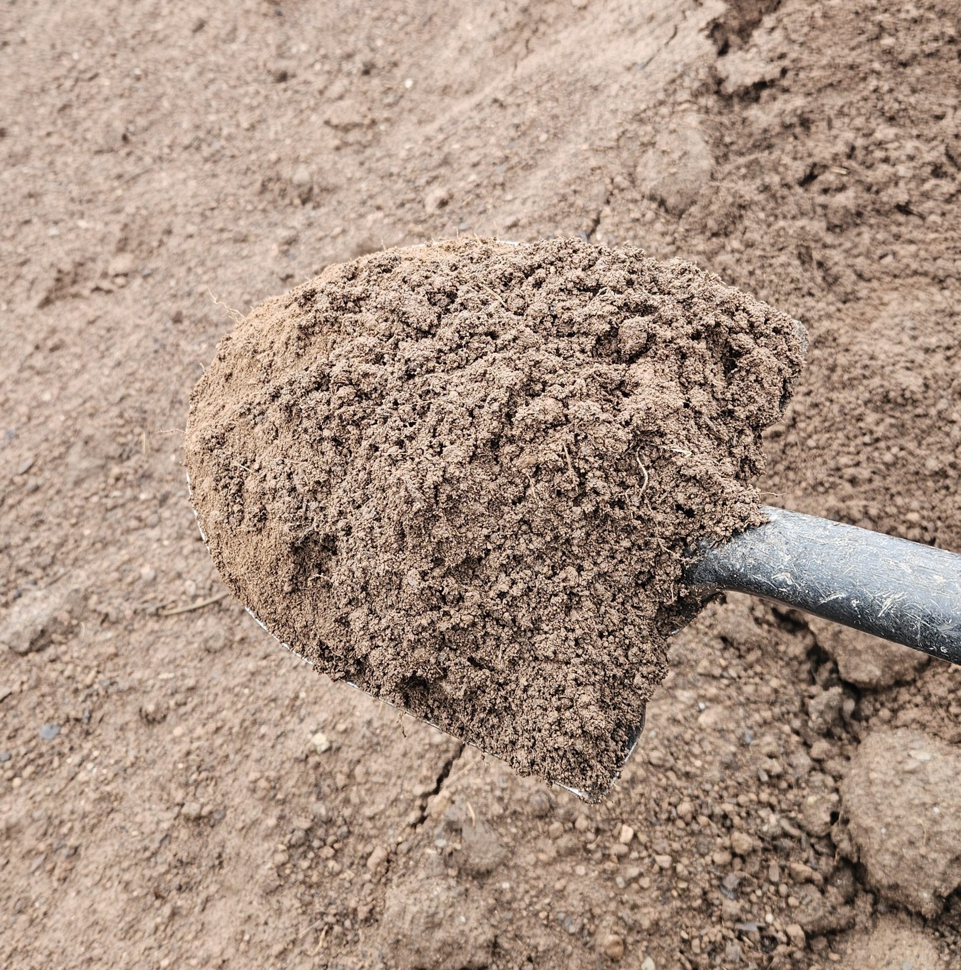 TOPSOIL TOPSOIL